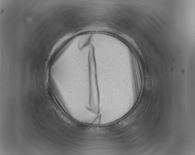 X0000081431366200702021642