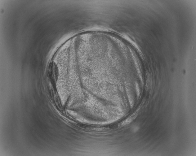 X0000081431367200702021642