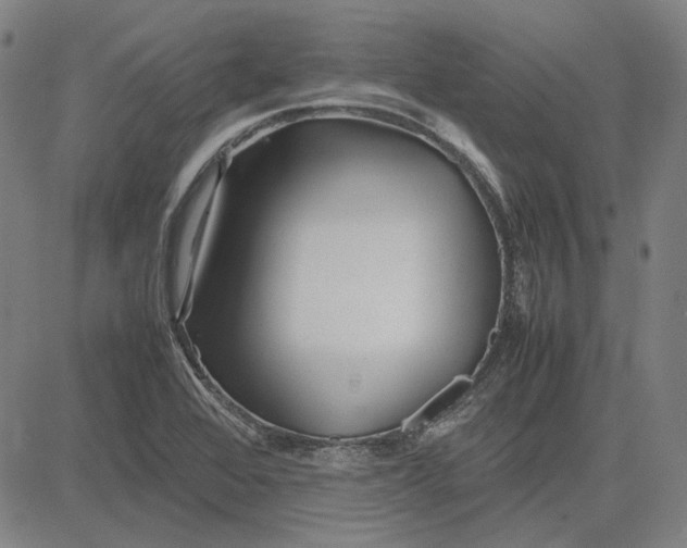 X0000081431368200702021642