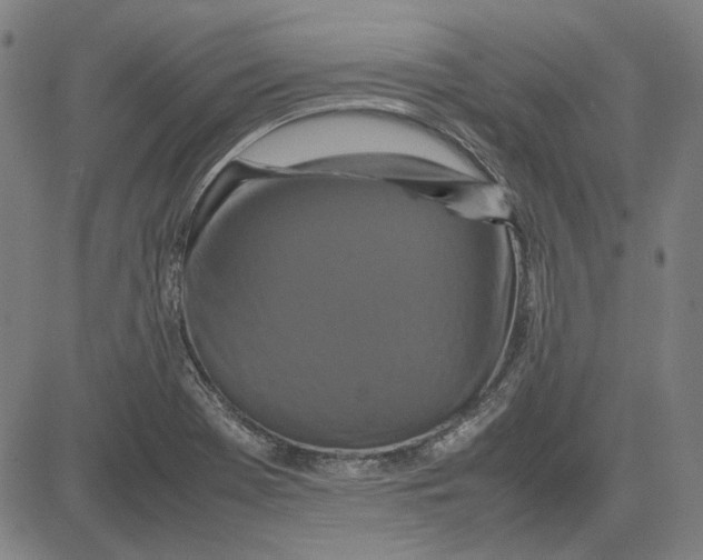 X0000081431369200702021642