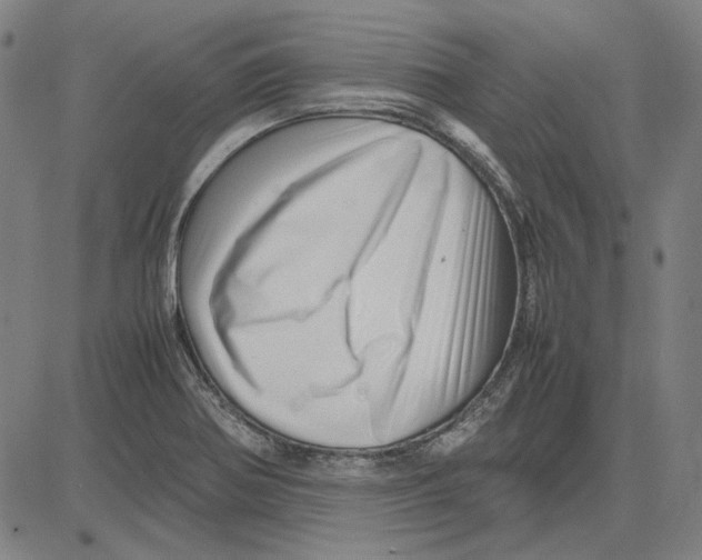 X0000081431370200702021642