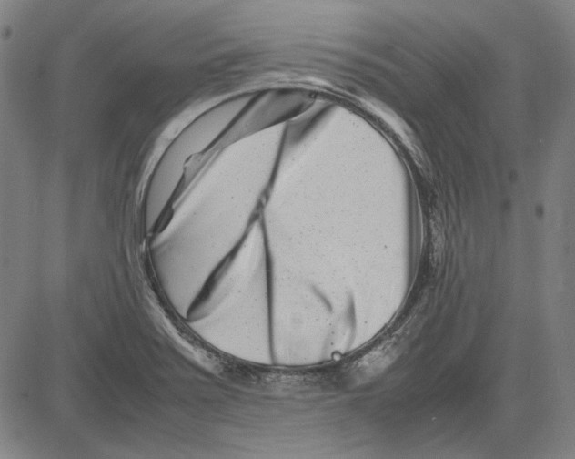 X0000081431371200702021642