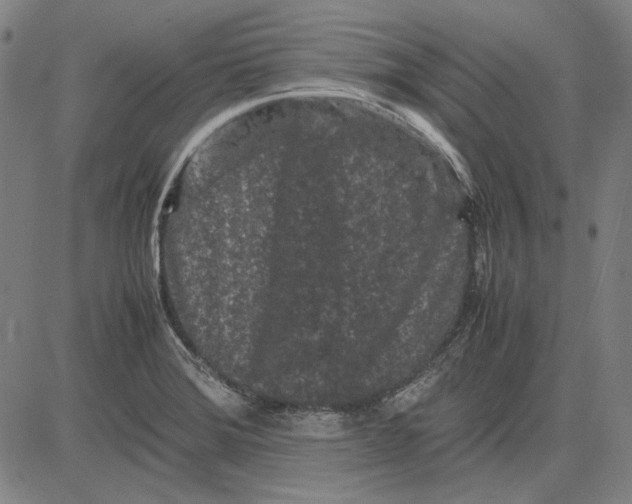 X0000081431372200702021642