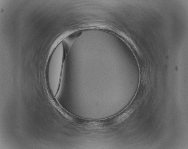 X0000081431373200702021642