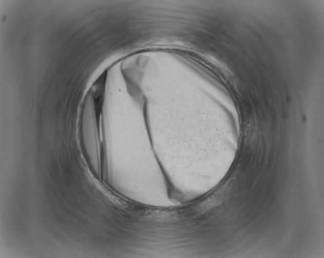 X0000081431374200702021642