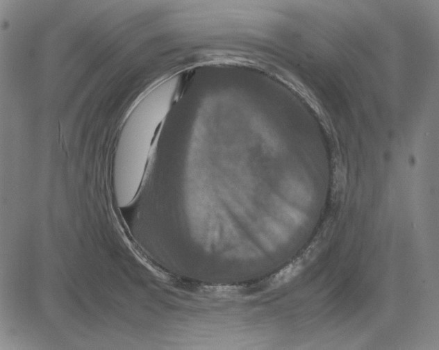 X0000081431377200702021642