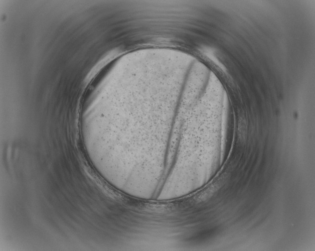 X0000081431378200702021642