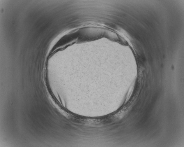 X0000081431379200702021642