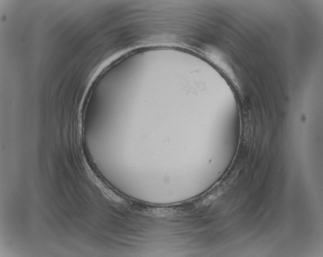 X0000081431380200702021641