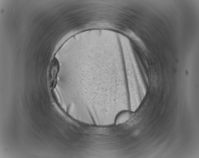 X0000081431382200702021641