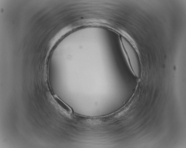 X0000081431384200702021641