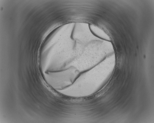 X0000081431386200702021641