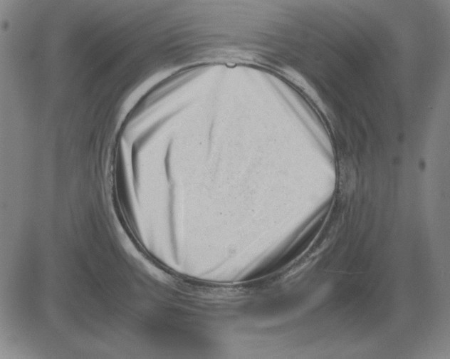 X0000081431387200702021641