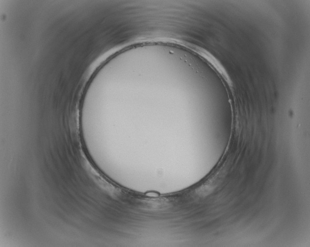 X0000081431388200702021641