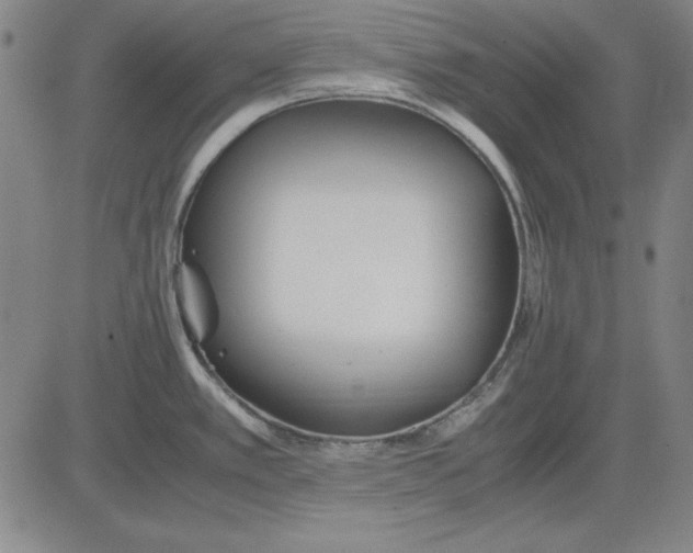 X0000081431389200702021641