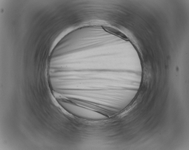 X0000081431390200702021641