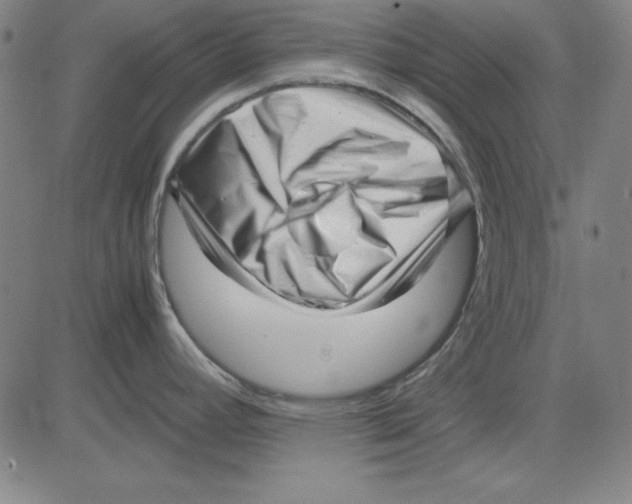 X0000081431392200702021641