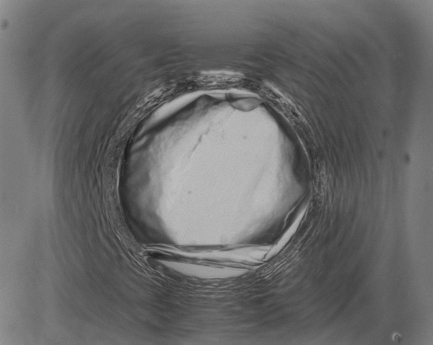 X0000081431393200702021641