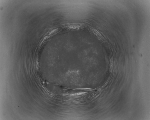 X0000081431394200702021641