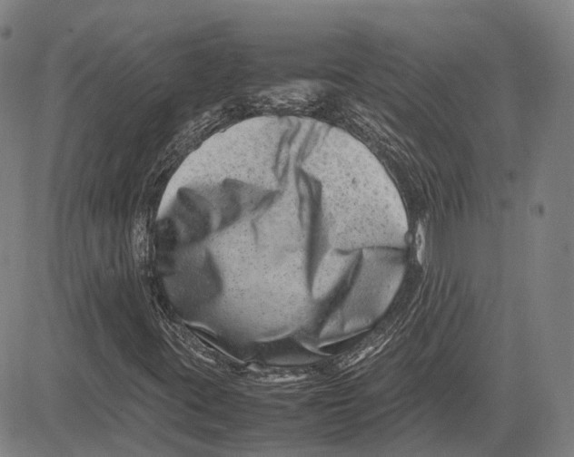 X0000081431395200702021641