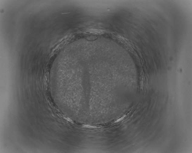 X0000081431397200702021641