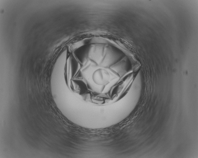 X0000081431398200702021641