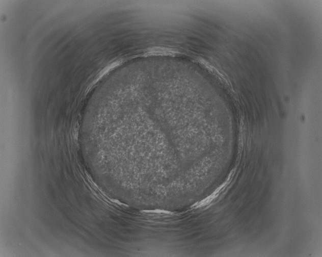 X0000081431401200702021641