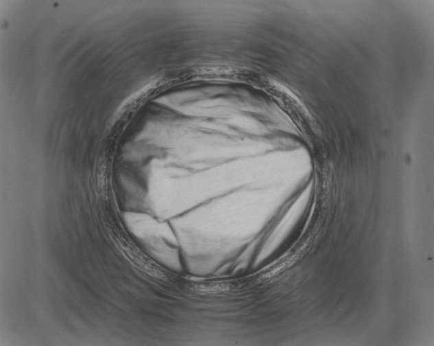 X0000081431403200702021641