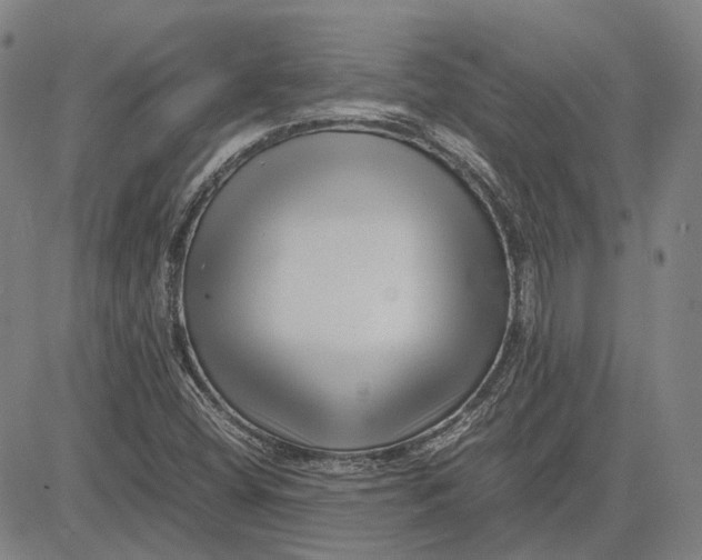 X0000081431404200702021641