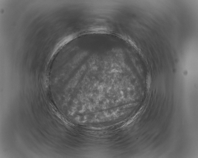 X0000081431405200702021641