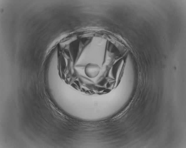 X0000081431406200702021641