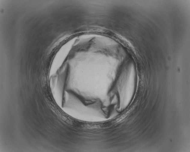 X0000081431407200702021641