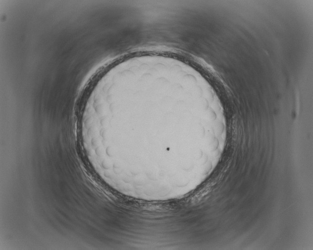 X0000081431408200702021641