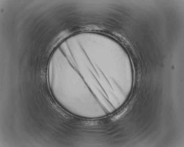 X0000081431409200702021641