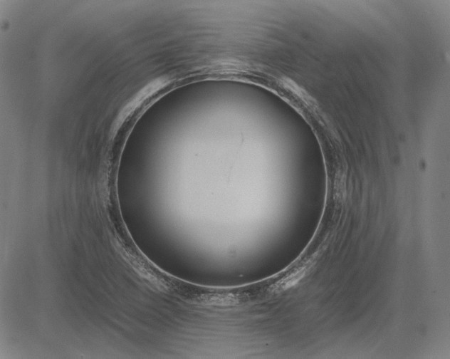 X0000081431410200702021641