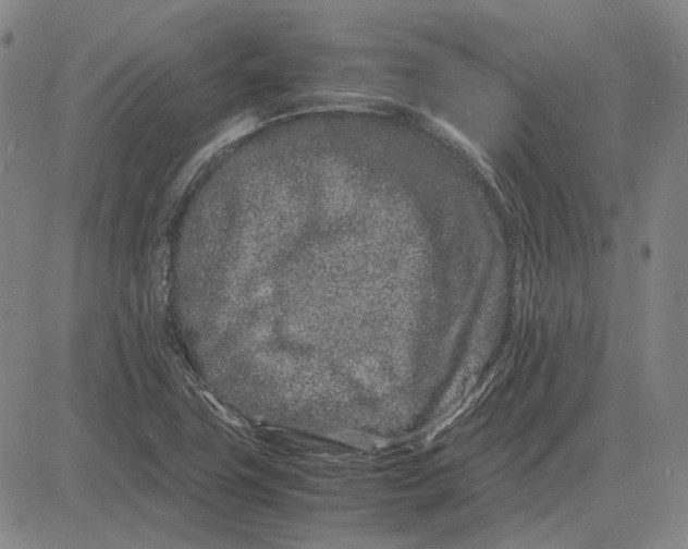 X0000081431411200702021641