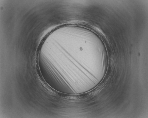 X0000081431412200702021641