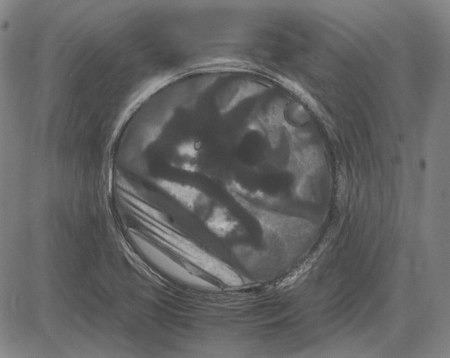 X0000081431413200702021641