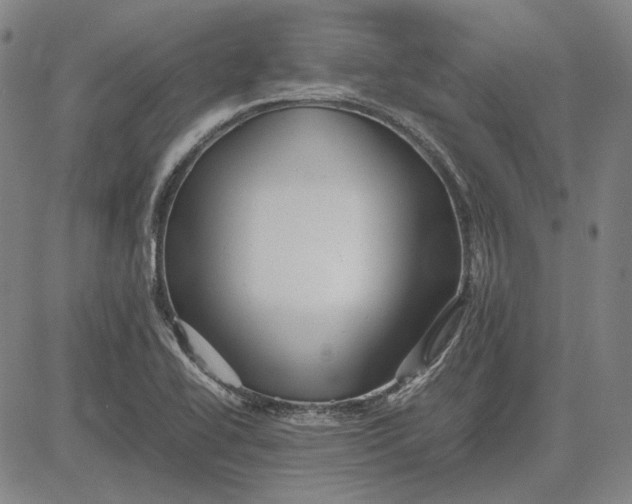 X0000081431414200702021641