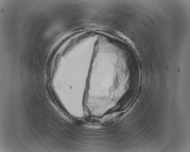 X0000081431415200702021641