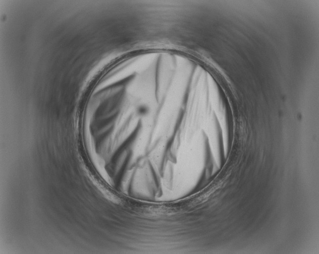 X0000081431416200702021641