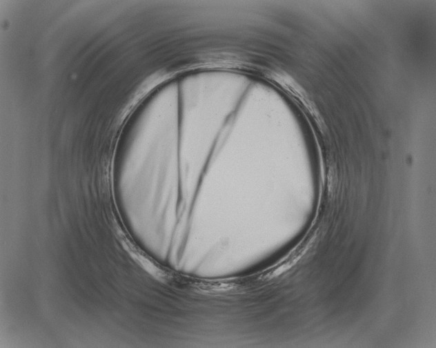 X0000081431417200702021641