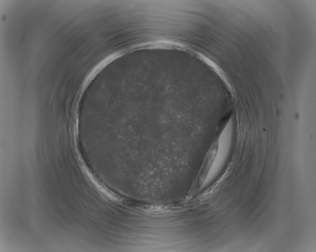 X0000081431418200702021641