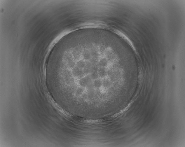 X0000081431419200702021641