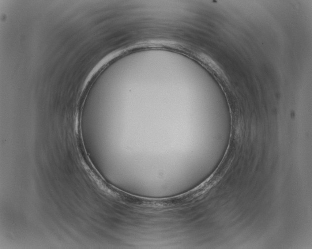 X0000081431420200702021641