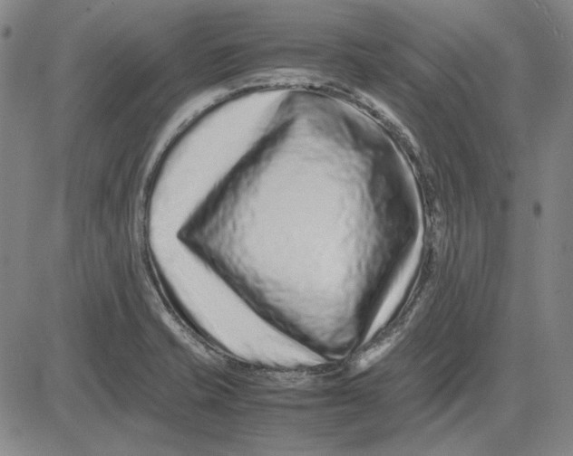 X0000081431421200702021641