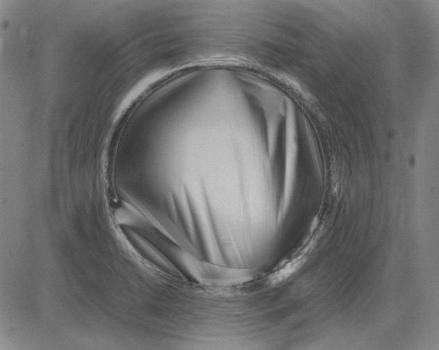 X0000081431422200702021641