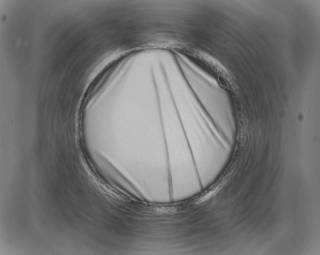 X0000081431423200702021641