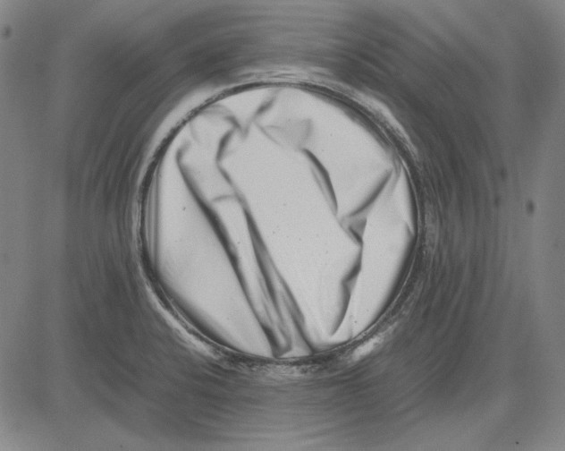 X0000081431424200702021641