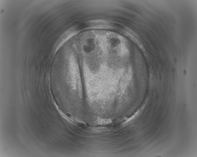 X0000081431425200702021641